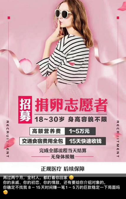代孕贵不贵