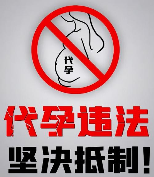 代孕网怎样